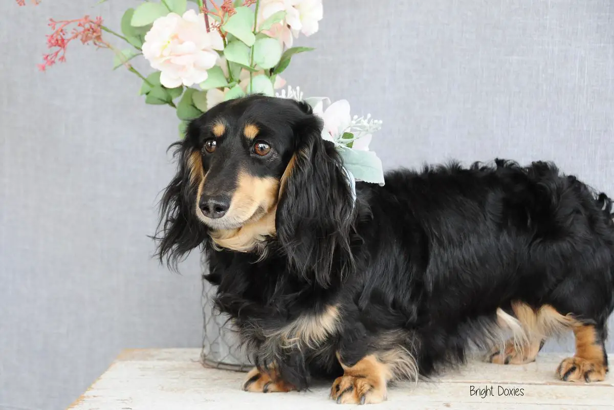 Quinn's Midnight Rendezvous Ml