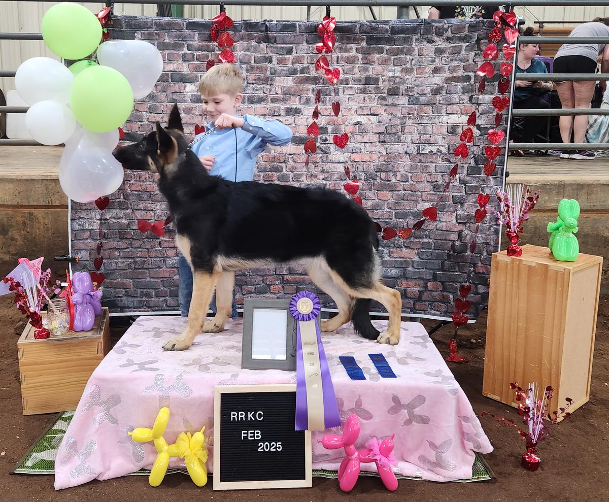 UCH Lewis Lfd Dueces V Owl Grove