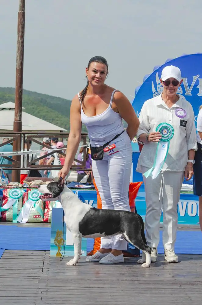 ЮЧР ЮЧРКФ ANGEL WORKSHOP AVGUSTINA