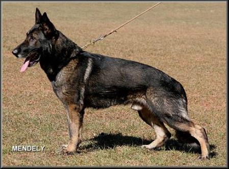 SG Eyk aus der Eichendorffsiedlung