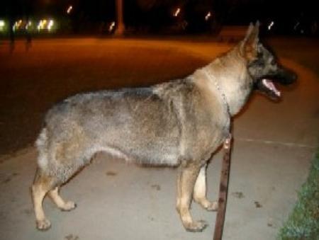 Tronja vom alten Wingertshaus