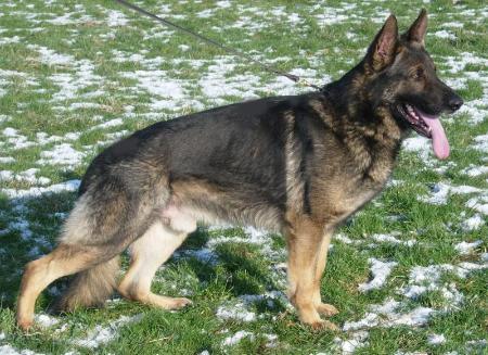 SG Gomez von der Schiffslache