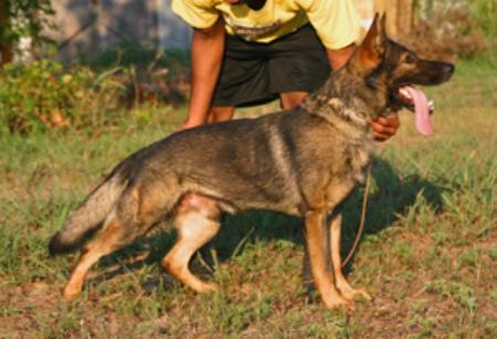 Kimon von Conneforde