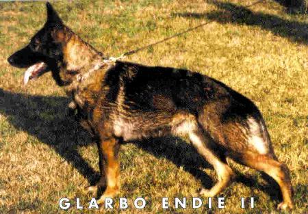 Glarbo Endie II