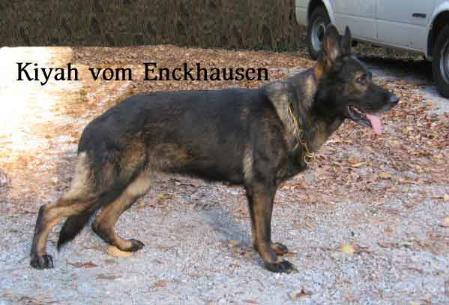 Kiyah Vom Enckhausen