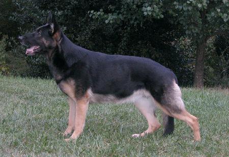 G Usha van Guy's Hof