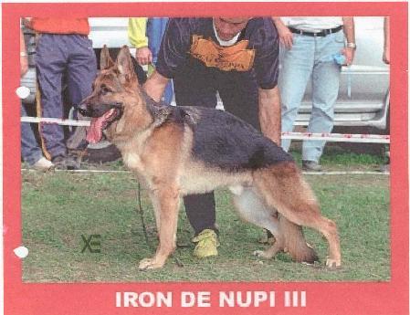 Iron De Nupi Iii