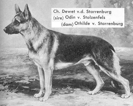 (US) CH Dewet von der Starrenburg