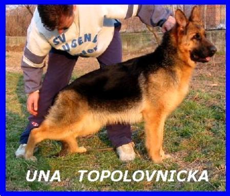 Una Topolovnicki
