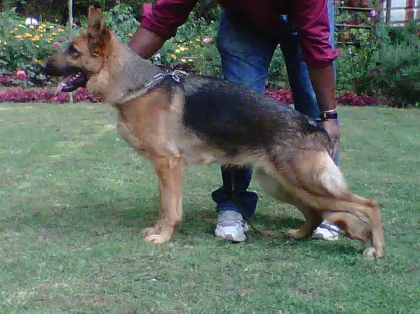 Jessy (1994)