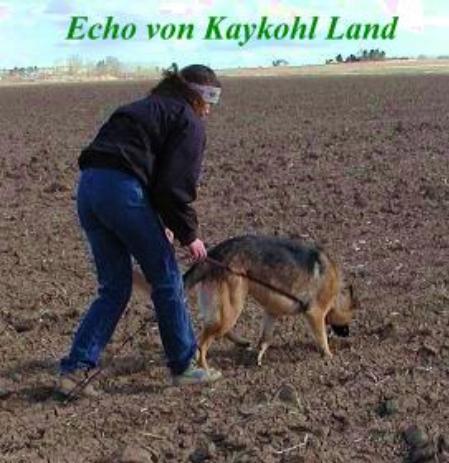 Echo von Kaykohl Land
