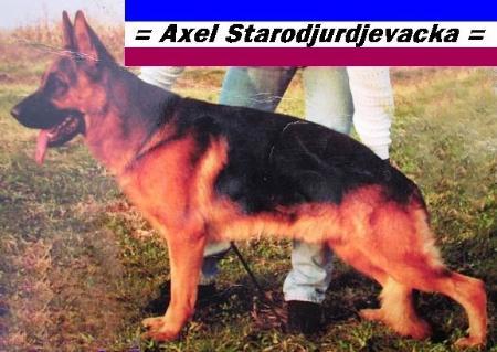 V Axel Starodjurdjevacka