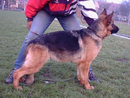 HESTER VON HAUS SELIA