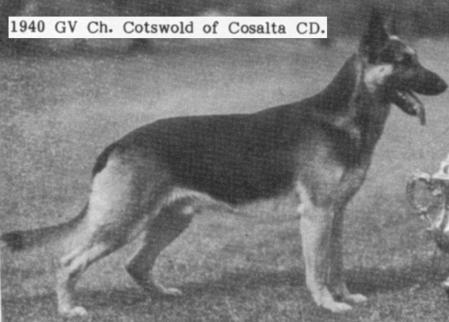 CH (US) Cotswold of Cosalta