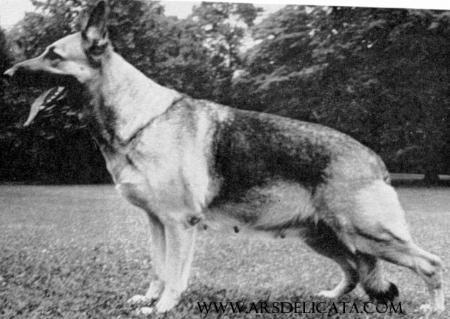 Renown of Long Worth