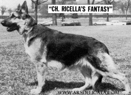 CH (US) Ricella's Fantasy