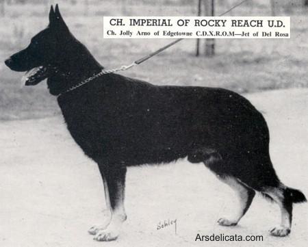 CH (US) Imperial of Rocky Reach