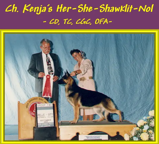 CH (US) Kenja's Her-She-Shawklit-Nol