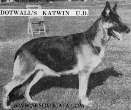 Dot-Wall's Katwin