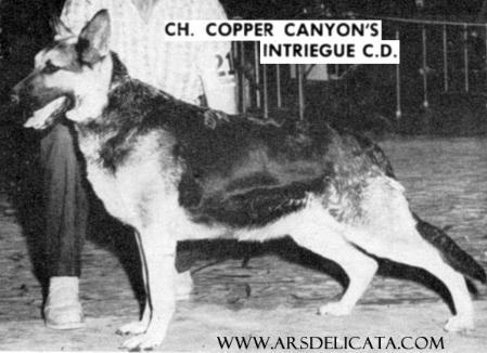 CH (US) Copper Canyon Intriege