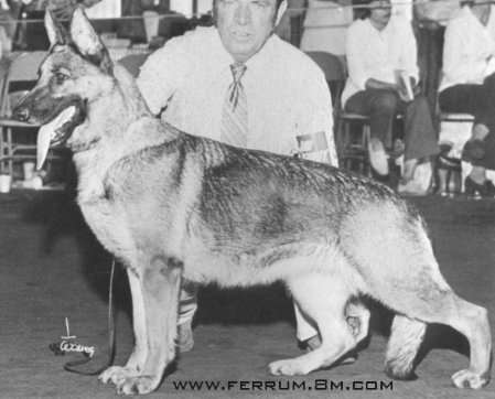 CH (US) Ponca-Hill's Sudana