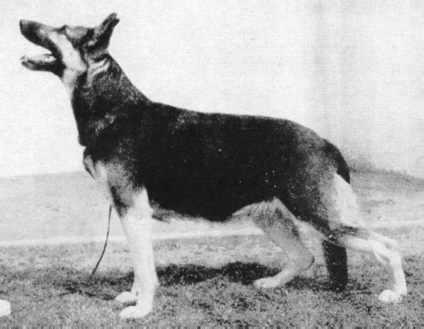 Kanna of Rocky Reach