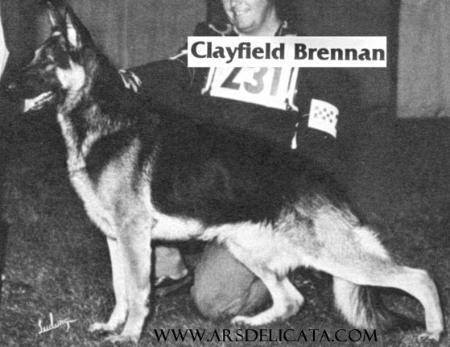 Clayfield Brennan