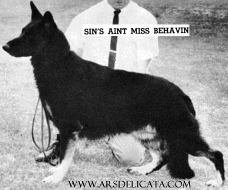 Sin's Ain't Miss Behavin
