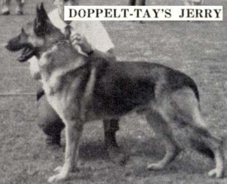 CH (US) Doppelt Tay's Jerry