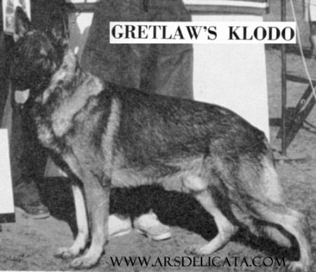 CH Gretlaw's Klodo