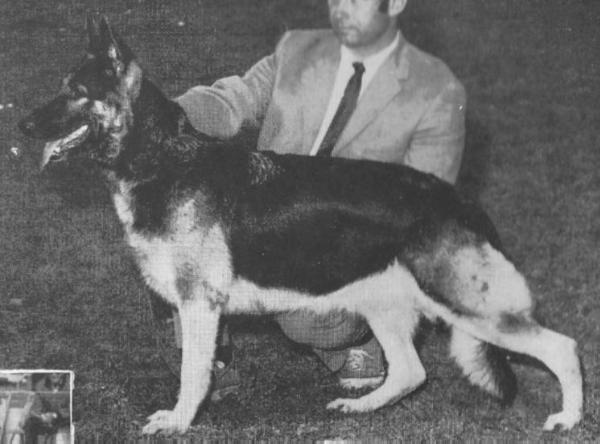 CH Arnhild v Schrakmueller-Busch
