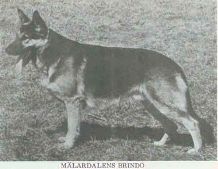 Mälardalens Brindo