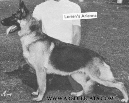 Lorien's Arianna