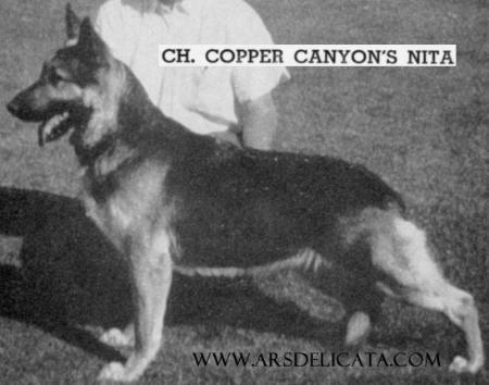 CH (US) Copper Canyon Nita