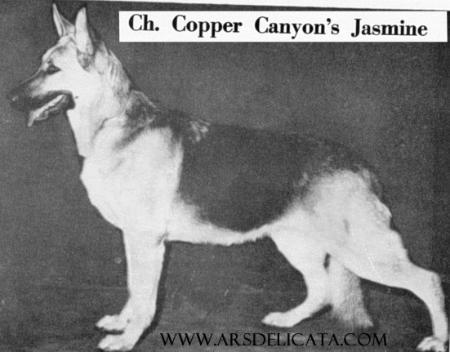 CH (US) Copper Canyon Jasmin