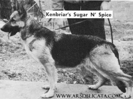 Kenbriar's Sugar N' Spice