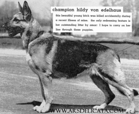 CH (US) Hildy v Edelhaus