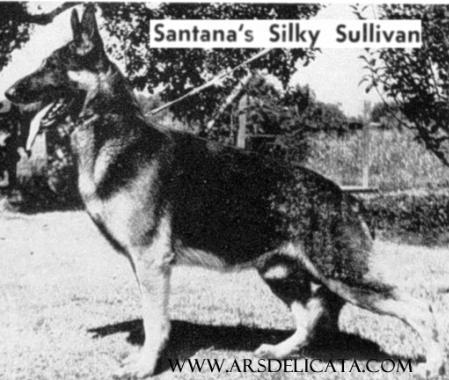 Santana's Silky Sullivan