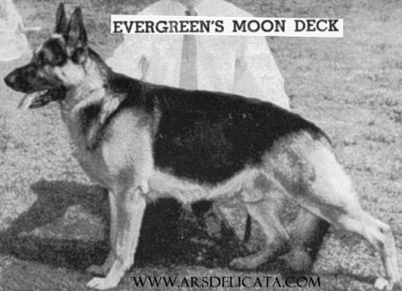 Evergreen's Moon Deck