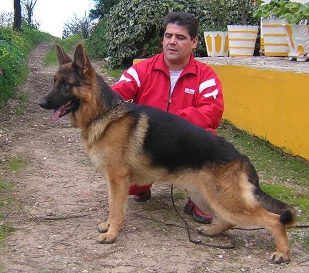 Visum Du Domaine Des Sorbiers