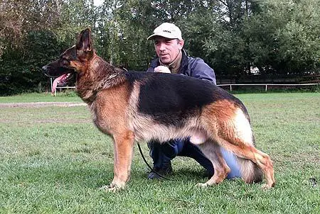 VA (RUS) Ingo v. Zellwaldrand