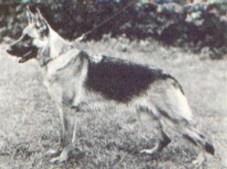 Atheena (S 31856/70)