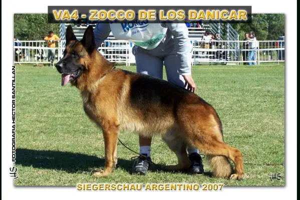 VA 10, VA 4 (ARG) Zocco De Los Danicar