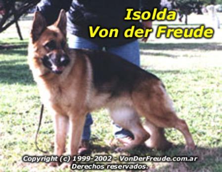 Isolda von der Freude