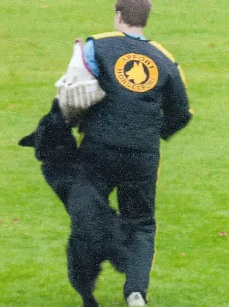 2 XWUSV Latchets Tiquila