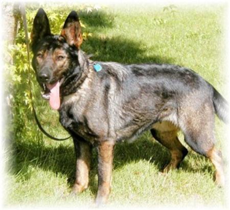 Nadia Van Den Heuvel