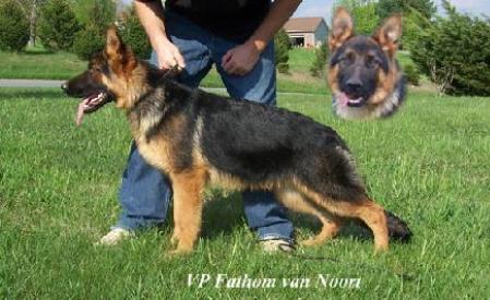 VP1  (USA) Fathom van Noort