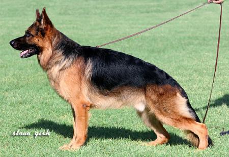 Darius van Noort (2004)