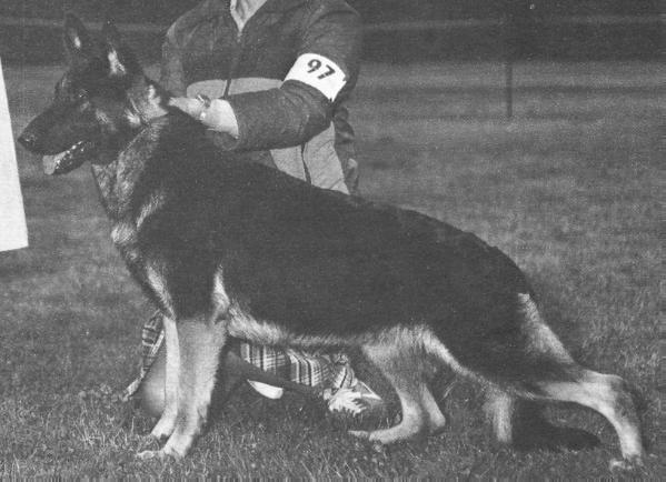 Waltraut's Kizzy