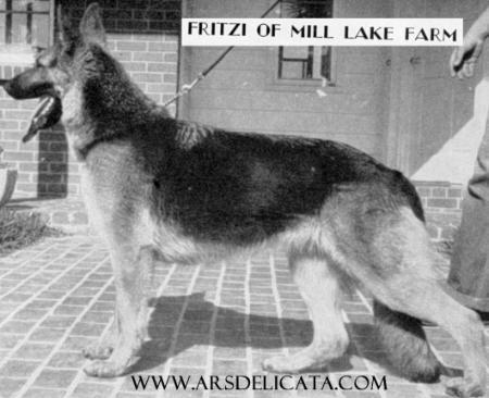 Fritzi of Mill Lake Farm